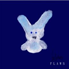 Boletes - Flaws